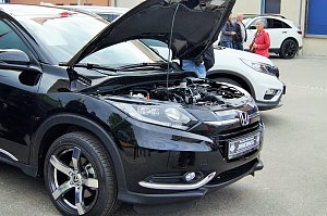 22. Autofr&uuml;hling