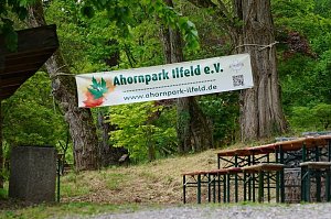 Ahornparkfest in Ilfeld