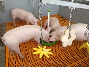 Radeln f&uuml;r eine gute Sache