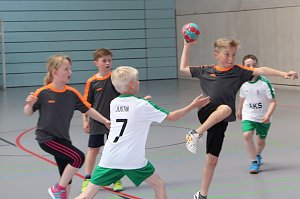Handball-Kreismeisterschaft der Grundschulen