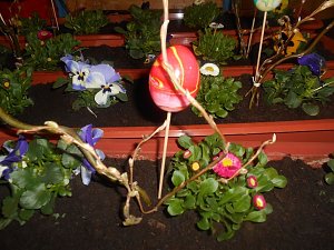 Fr&uuml;hling mit allen Sinnen erlebt und genossen