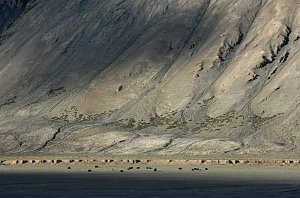 Impressionen vom Indischen Himalaya