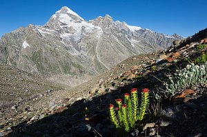 Impressionen vom Indischen Himalaya