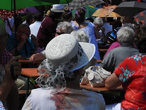 22. Rhododendronfest in S&uuml;lzhayn