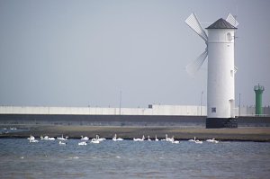 Auf Entdeckungstour in Swinem&uuml;nde