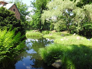 Lustwandeln im Park von Oranienbaum