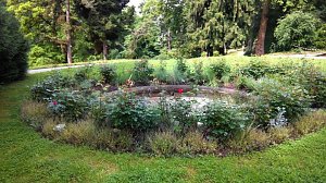 Das Auge lacht: Rosenrondell bei der alten Parkvilla.