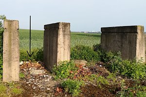 Schlachtabfälle entsorgt