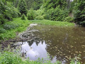 Peter Blei unterwegs im Harz