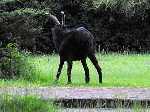 Peter Blei unterwegs im Harz