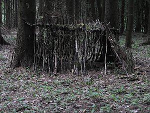 Peter Blei unterwegs im Harz