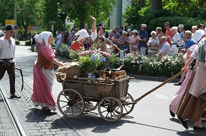 Festumzug zum 1090. Geburtstag der Rolandstadt