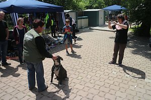 1. Sommerfest im Nordhäuser Tierheim