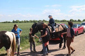 1. Sommerfest im Nordhäuser Tierheim