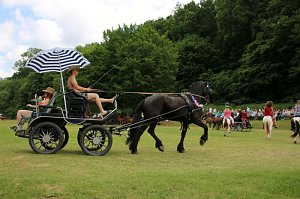 Gefahren und geritten