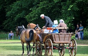 Gefahren und geritten