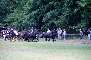 Gefahren und geritten