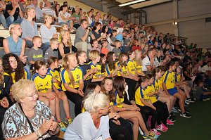Saisonabschlussehrung der NSV-Handballer