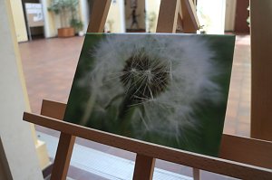 Sommerfest der Petersbergschule in Nordhausen