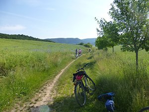 Gefahren und gelernt