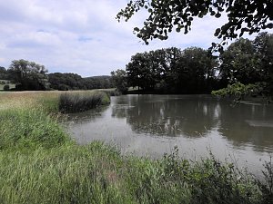Kleine Sensation am Wiesenteich bei Liebenrode