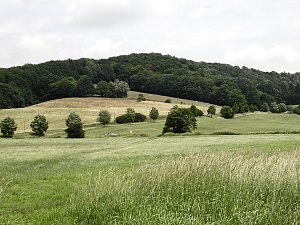 Kleine Sensation am Wiesenteich bei Liebenrode
