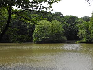 Kleine Sensation am Wiesenteich bei Liebenrode
