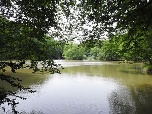 Kleine Sensation am Wiesenteich bei Liebenrode