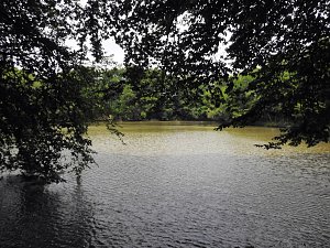 Kleine Sensation am Wiesenteich bei Liebenrode