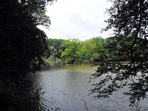 Kleine Sensation am Wiesenteich bei Liebenrode