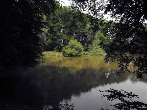 Kleine Sensation am Wiesenteich bei Liebenrode