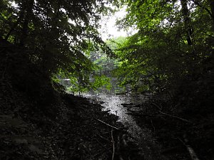 Kleine Sensation am Wiesenteich bei Liebenrode