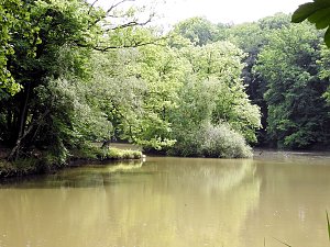 Kleine Sensation am Wiesenteich bei Liebenrode