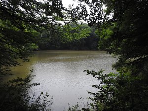 Kleine Sensation am Wiesenteich bei Liebenrode