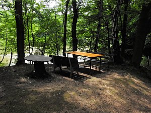 Kleine Sensation am Wiesenteich bei Liebenrode