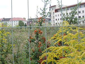 Die Neue Mitte