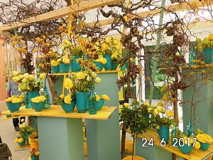 Rosenausstellung