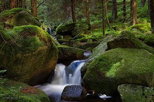 Wandern und richtig fotografieren