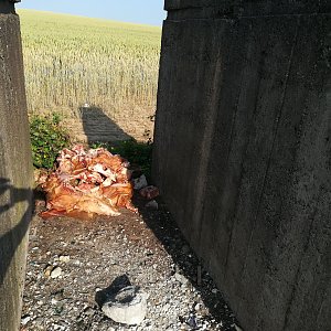 Wieder Schlachtabf&auml;lle entsorgt