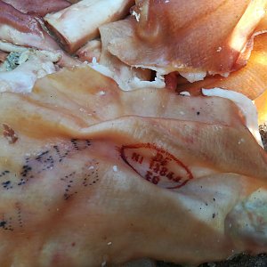 Wieder Schlachtabf&auml;lle entsorgt