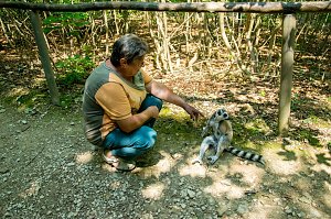 Besuch bei den Affen am Straußberg