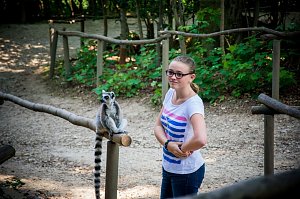 Besuch bei den Affen am Straußberg