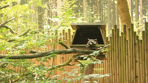 Sonntagswanderung bei Thale