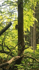 Sonntagswanderung bei Thale