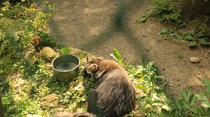 Sonntagswanderung bei Thale