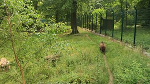 Sonntagswanderung bei Thale