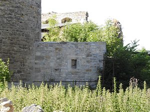 Peter Blei auf der Burg Strau&szlig;berg