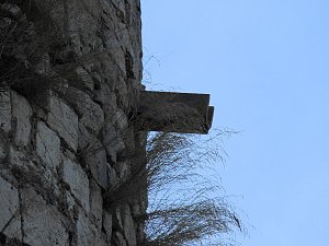Peter Blei auf der Burg Strau&szlig;berg