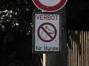 Peter Blei auf der Burg Strau&szlig;berg