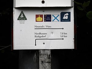 Am Boden und in der Luft